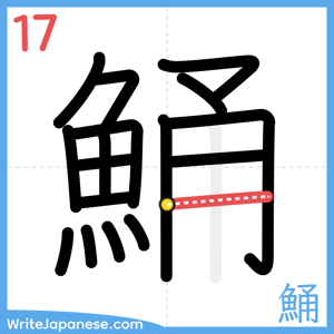 How to write "鯒" - stroke 17