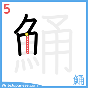 How to write "鯒" - stroke 5