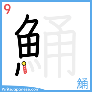 How to write "鯒" - stroke 9