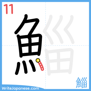 How to write "鯔" - stroke 11