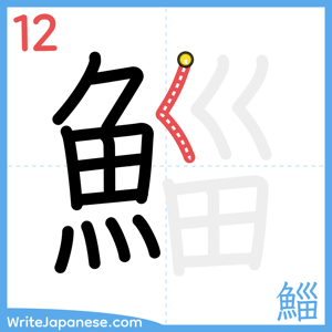 How to write "鯔" - stroke 12