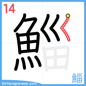How to write "鯔" - stroke 14