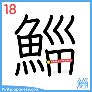 How to write "鯔" - stroke 18