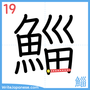 How to write "鯔" - stroke 19