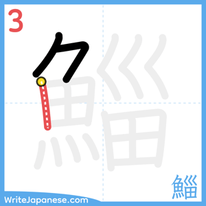 How to write "鯔" - stroke 3