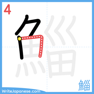 How to write "鯔" - stroke 4