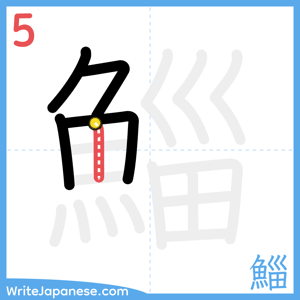 How to write "鯔" - stroke 5