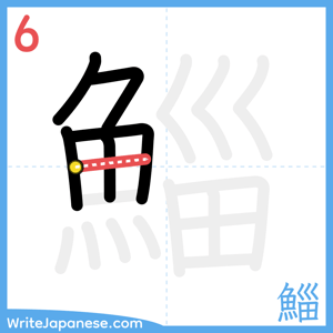 How to write "鯔" - stroke 6