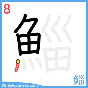 How to write "鯔" - stroke 8
