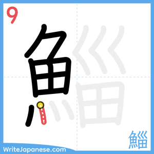How to write "鯔" - stroke 9