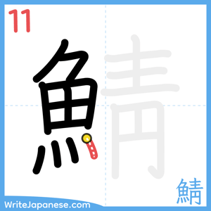 How to write "鯖" - stroke 11