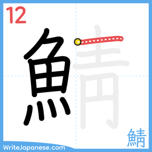 How to write "鯖" - stroke 12