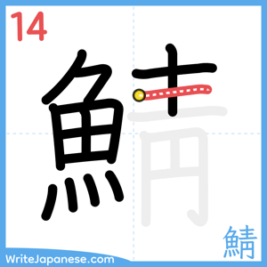 How to write "鯖" - stroke 14