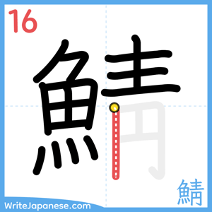 How to write "鯖" - stroke 16
