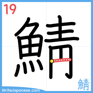 How to write "鯖" - stroke 19