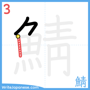 How to write "鯖" - stroke 3