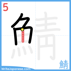 How to write "鯖" - stroke 5