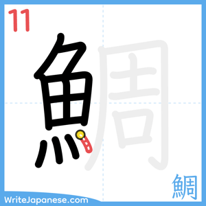 How to write "鯛" - stroke 11