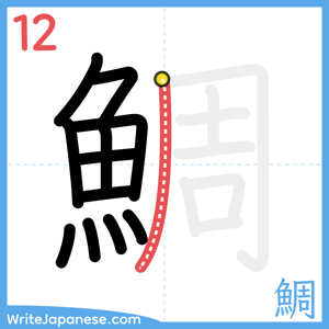 How to write "鯛" - stroke 12