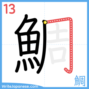 How to write "鯛" - stroke 13