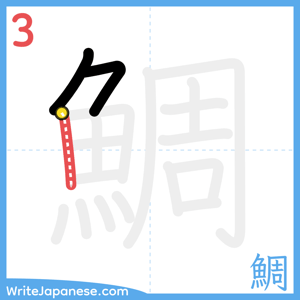 How to write "鯛" - stroke 3