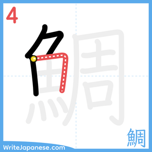 How to write "鯛" - stroke 4
