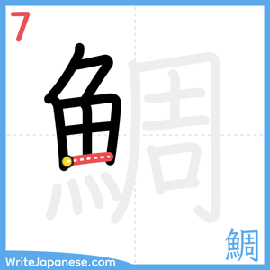 How to write "鯛" - stroke 7