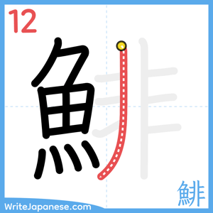 How to write "鯡" - stroke 12
