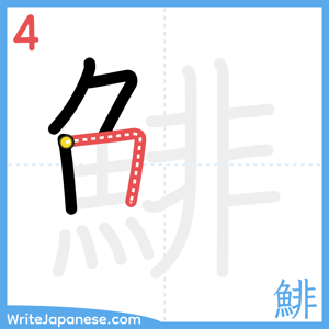 How to write "鯡" - stroke 4
