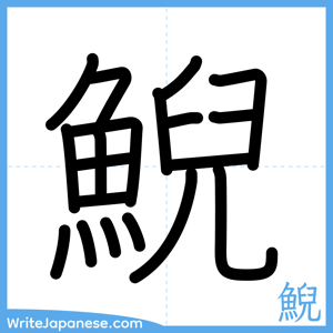 How to write "鯢" - complete stroke order