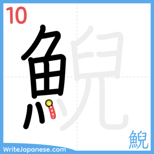 How to write "鯢" - stroke 10