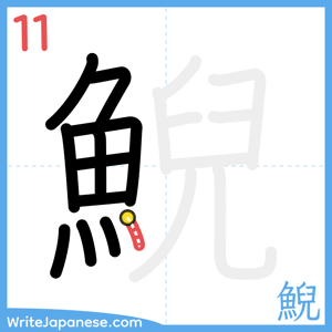 How to write "鯢" - stroke 11