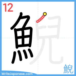 How to write "鯢" - stroke 12