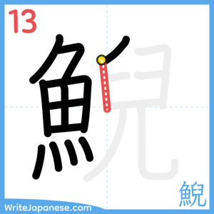 How to write "鯢" - stroke 13