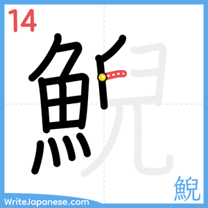 How to write "鯢" - stroke 14
