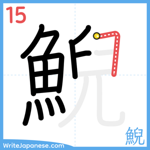 How to write "鯢" - stroke 15