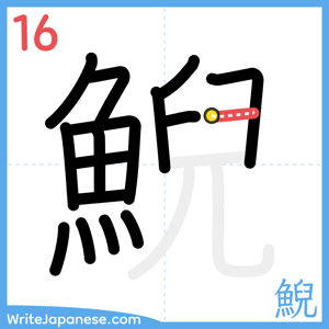 How to write "鯢" - stroke 16