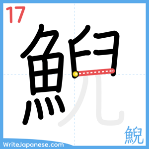How to write "鯢" - stroke 17