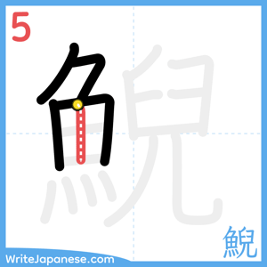 How to write "鯢" - stroke 5