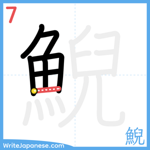 How to write "鯢" - stroke 7