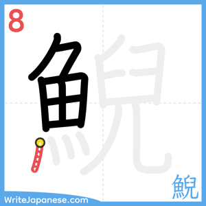 How to write "鯢" - stroke 8