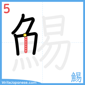 How to write "鯣" - stroke 5
