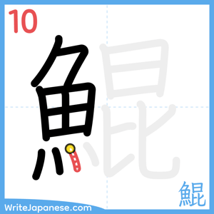 How to write "鯤" - stroke 10