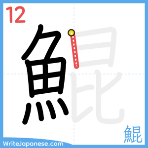 How to write "鯤" - stroke 12