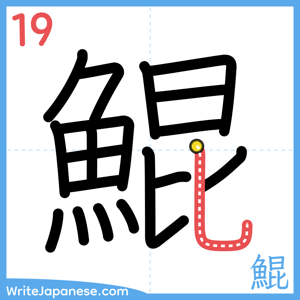 How to write "鯤" - stroke 19