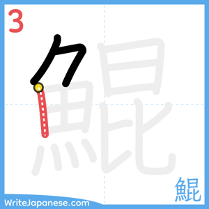 How to write "鯤" - stroke 3