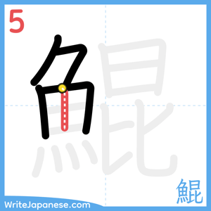 How to write "鯤" - stroke 5