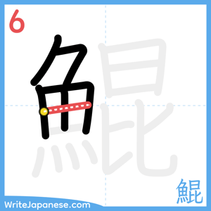 How to write "鯤" - stroke 6