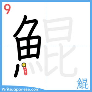 How to write "鯤" - stroke 9