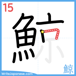 How to write "鯨" - stroke 15